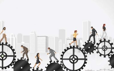 Dividere il portafoglio in tre, non dimenticando il capitale umano