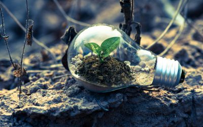 L’Overshoot Day: il giorno del superamento ecologico